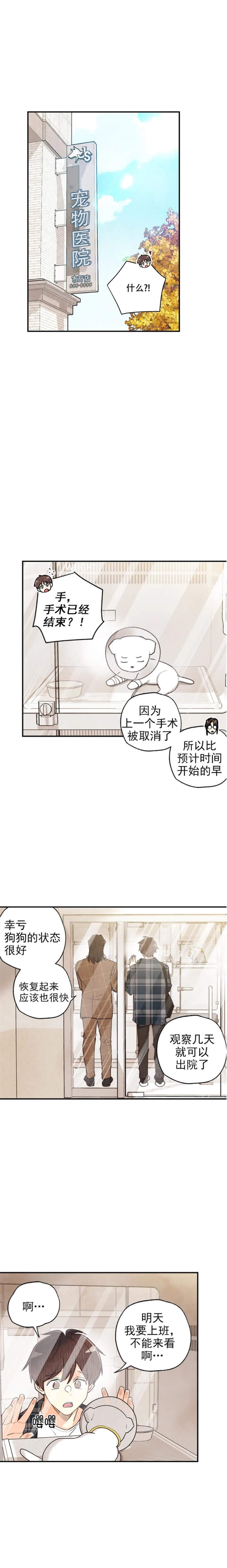 偏偏喜欢你歌曲漫画,第122话1图