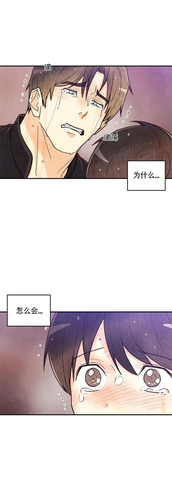 偏偏喜欢你在线观看完整版免费漫画,第135话2图