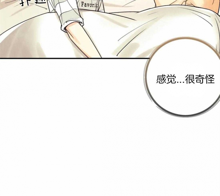 偏偏喜欢你简谱漫画,第63话1图