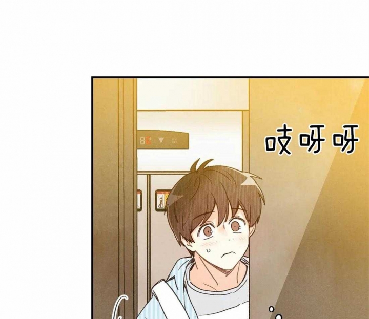 偏偏喜欢你在线观看完整版免费漫画,第52话1图