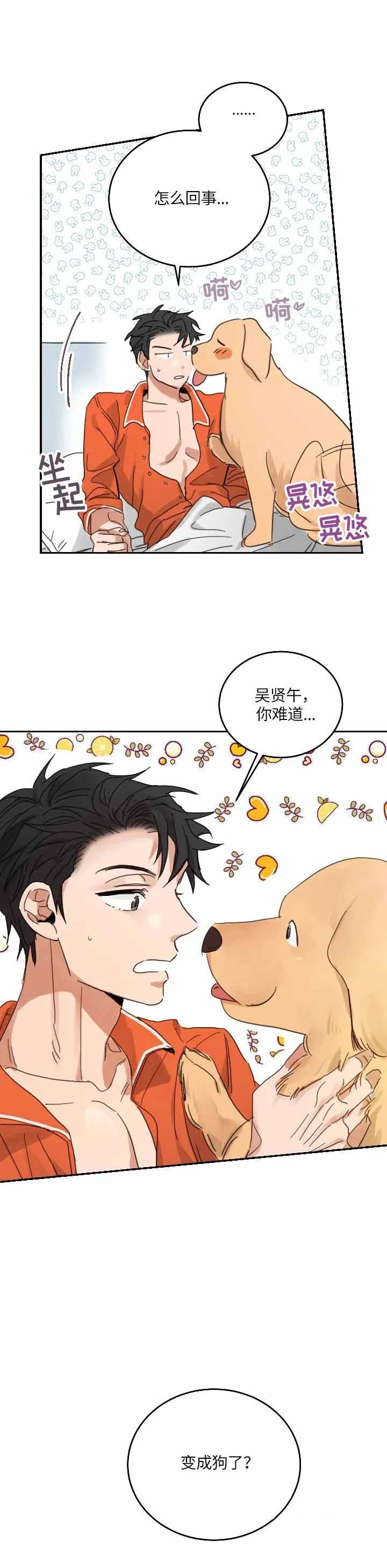 不浪漫罪名这首歌表达什么意思漫画,第104话2图