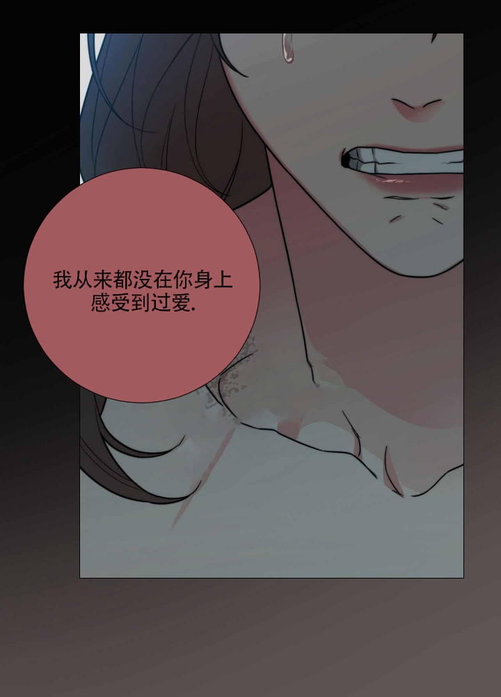 囚笼之爱动漫在线免费观看漫画,第14话2图