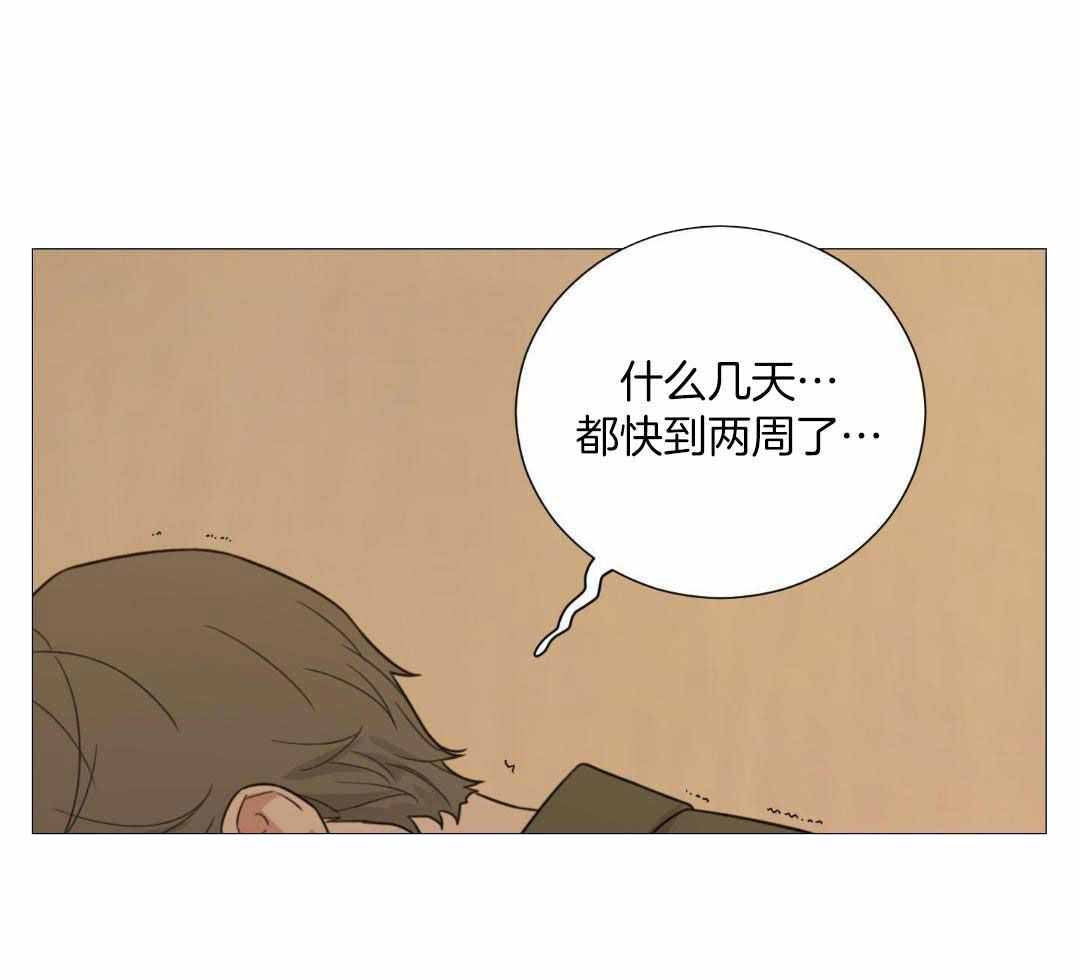 囚笼之爱动漫在线免费观看漫画,第80话2图