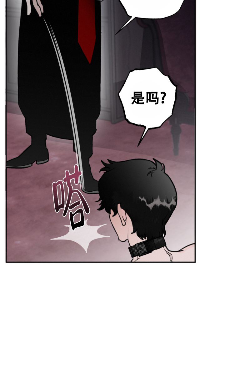 血之谎言又叫什么名字漫画,第2话2图