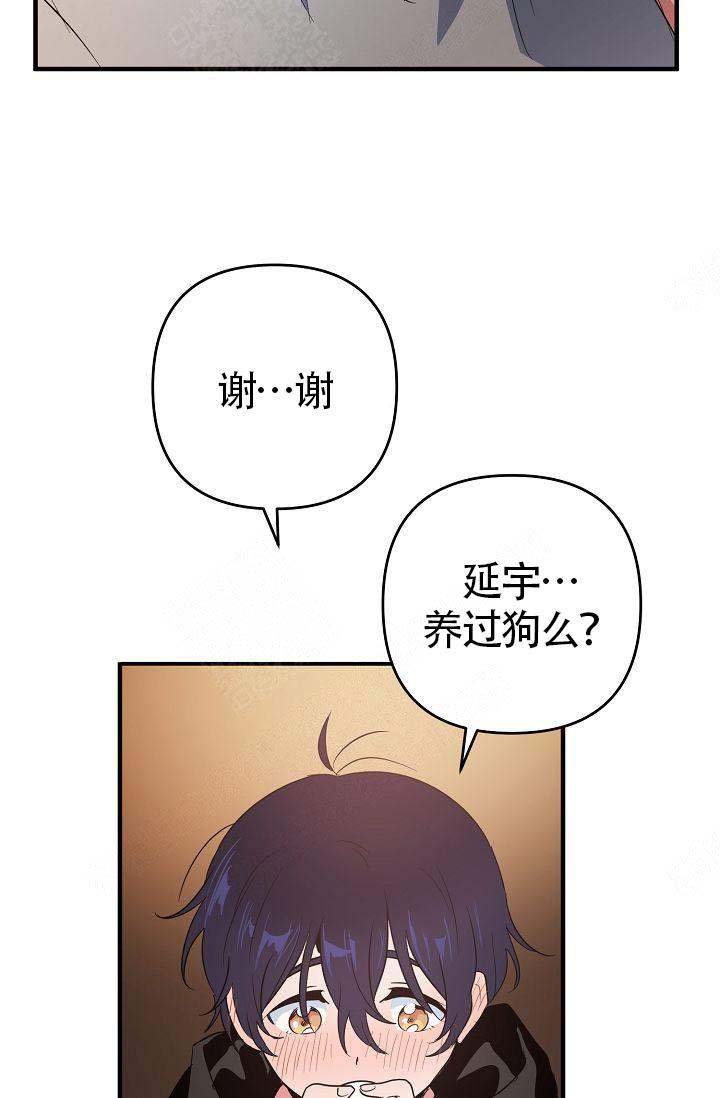 不要抛弃puppy韩漫免费无删减漫画,第10话2图