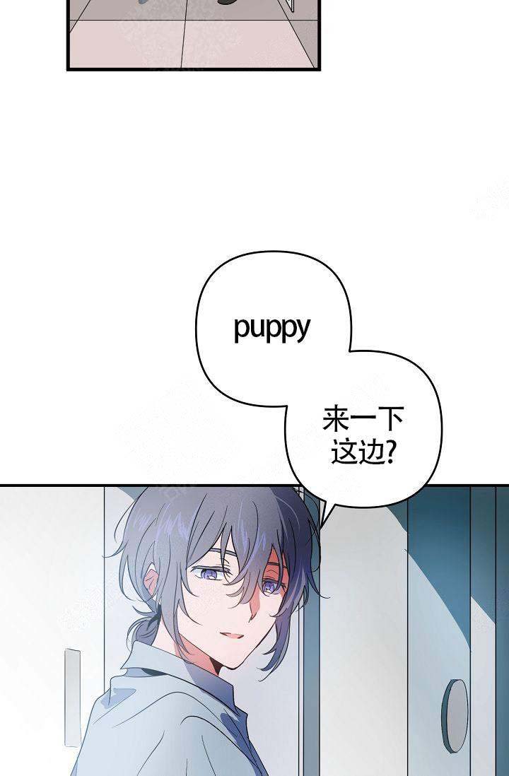 不要抛弃puppy君漫画在线漫画,第12话2图