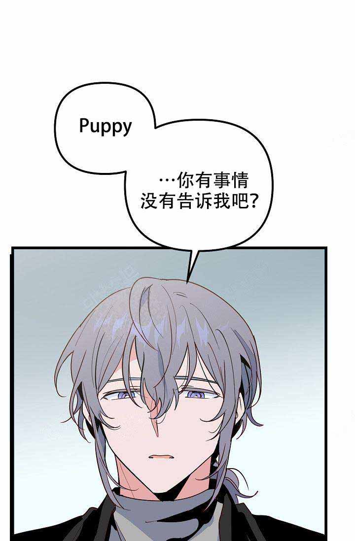 不要抛弃puppy漫画,第28话1图