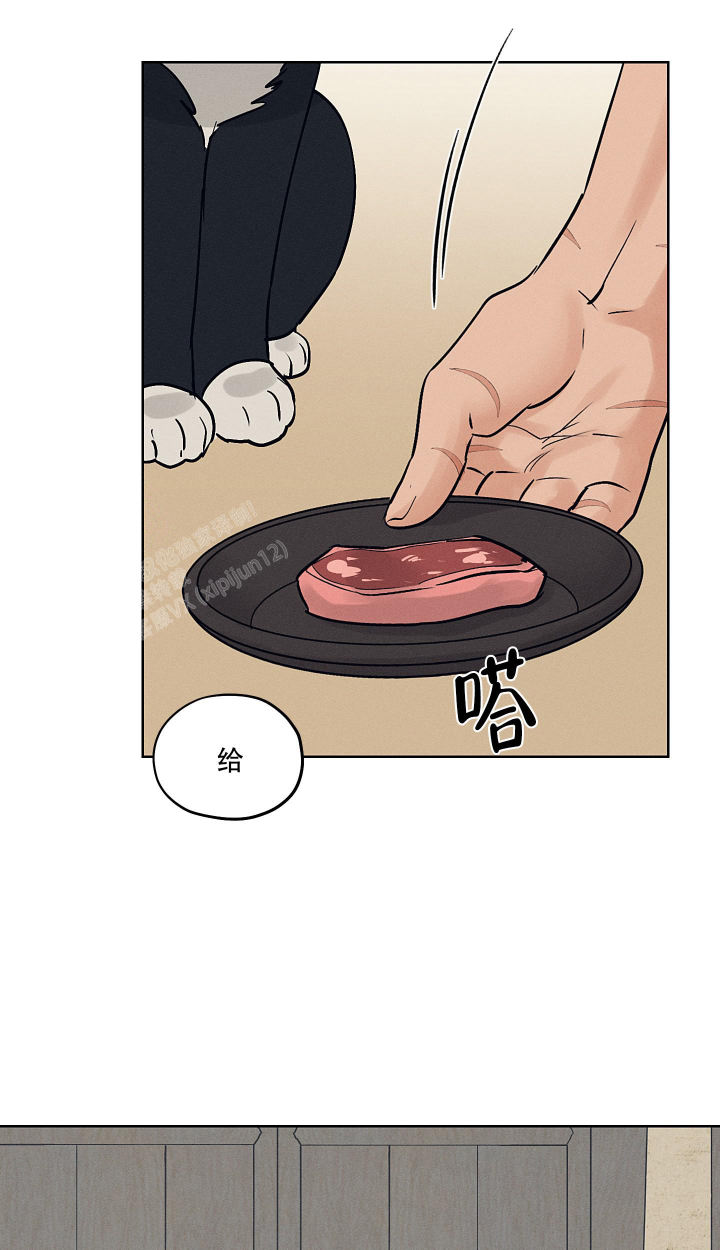 汉阳工坊在哪里看漫画,第47话2图