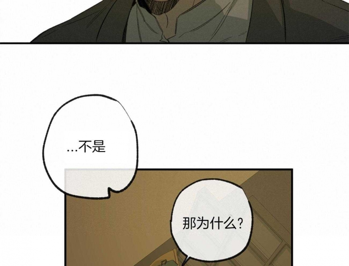 走失的夜65话漫画,第162话2图