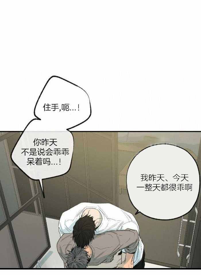 走失的夜漫画,第219话1图