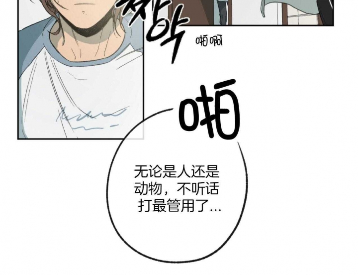 走失的夜是什么内容漫画,第183话2图