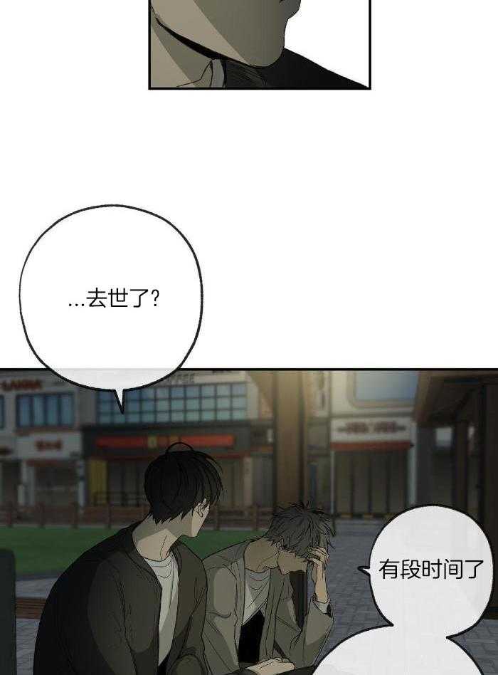 走失的夜第二季漫画,第215话2图