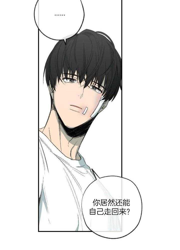 走失的夜漫画,第207话1图