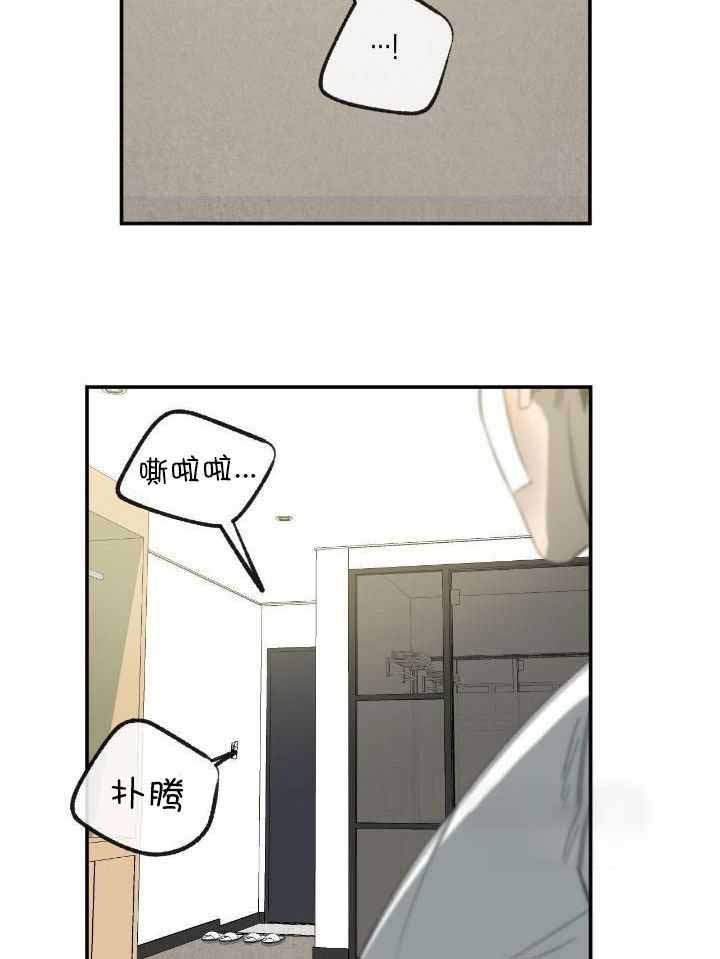 走失的夜是什么内容漫画,第207话1图