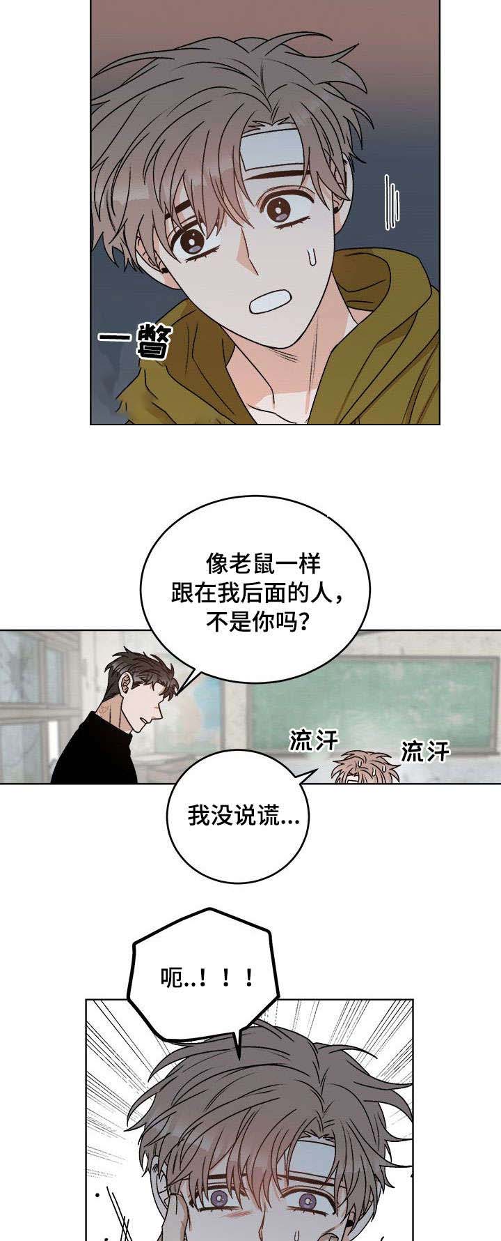 穿越末世的言情小说漫画,第25话2图