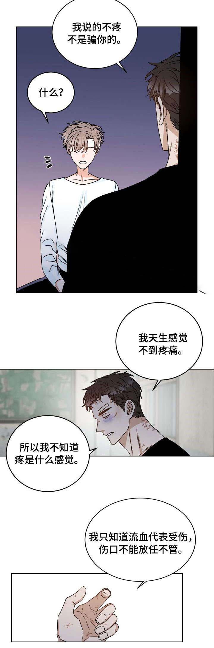 穿越末世的言情小说漫画,第22话2图