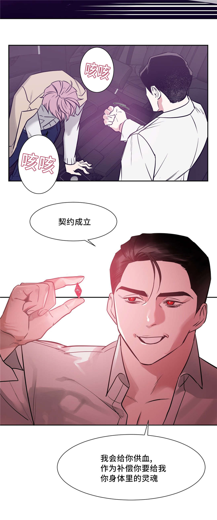 献给您我的血与灵魂漫画在线阅读漫画,第5话2图