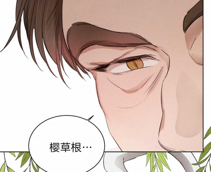 柳树浪漫史小说漫画,第68话1图