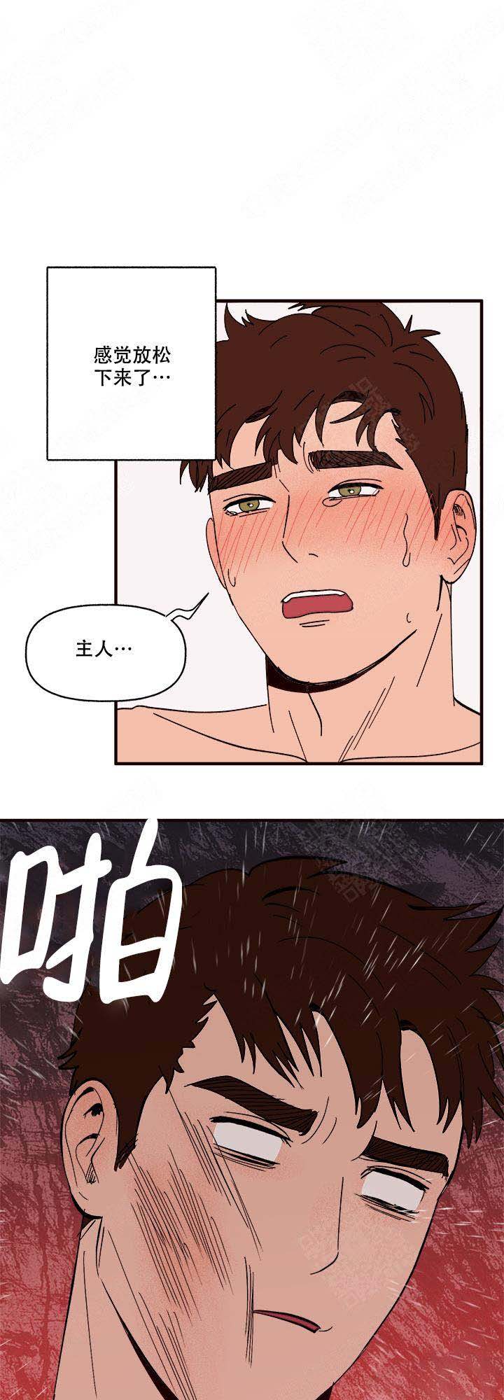 主人的主笔顺怎么写漫画,第16话2图