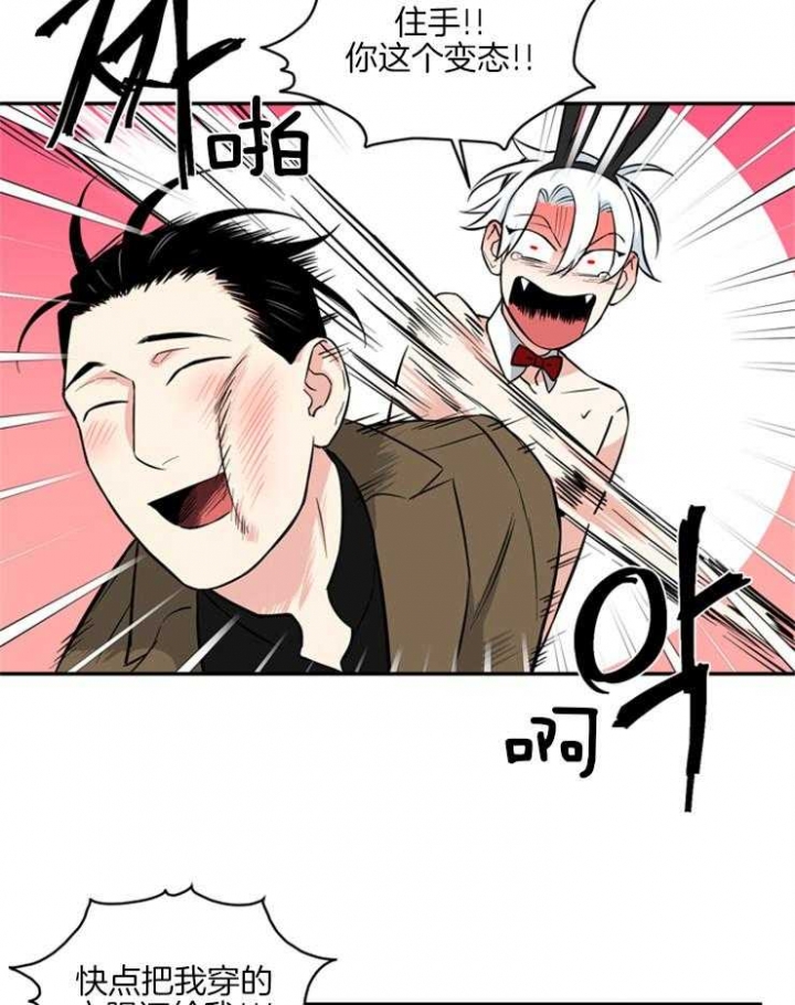 天使兔俱乐部漫画,第52话1图