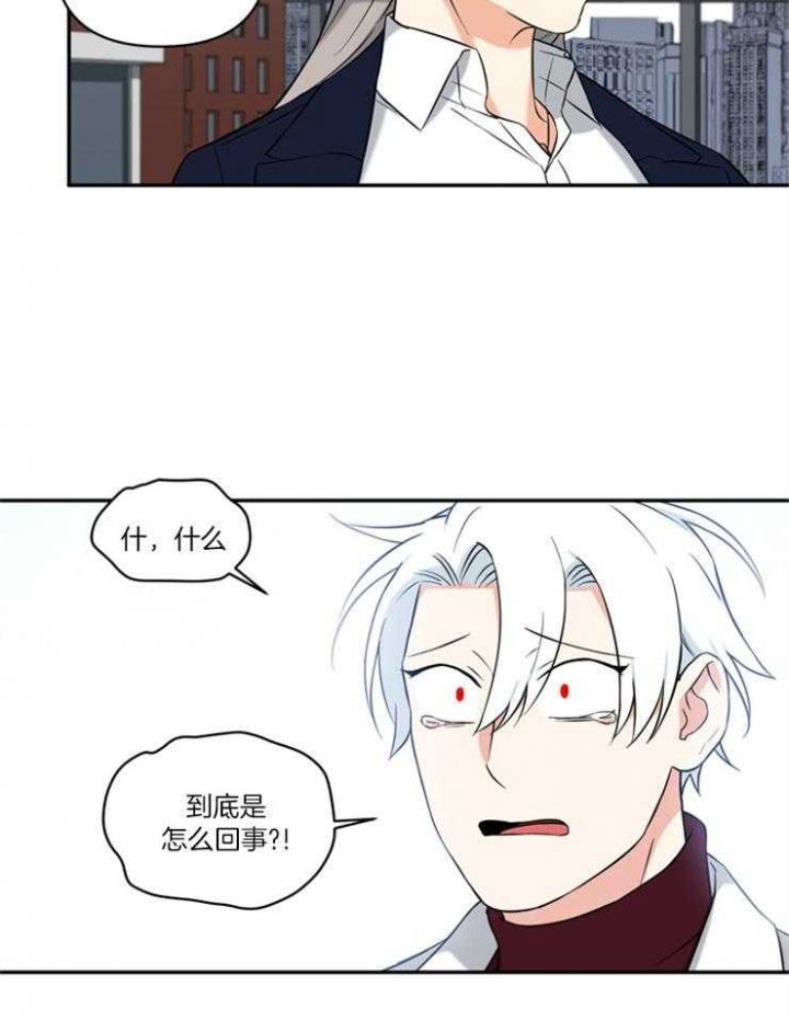 天使兔俱乐部漫画,第74话2图