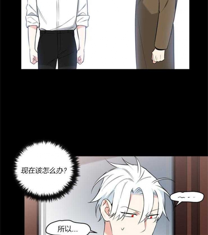 天使兔俱乐部漫画,第79话1图