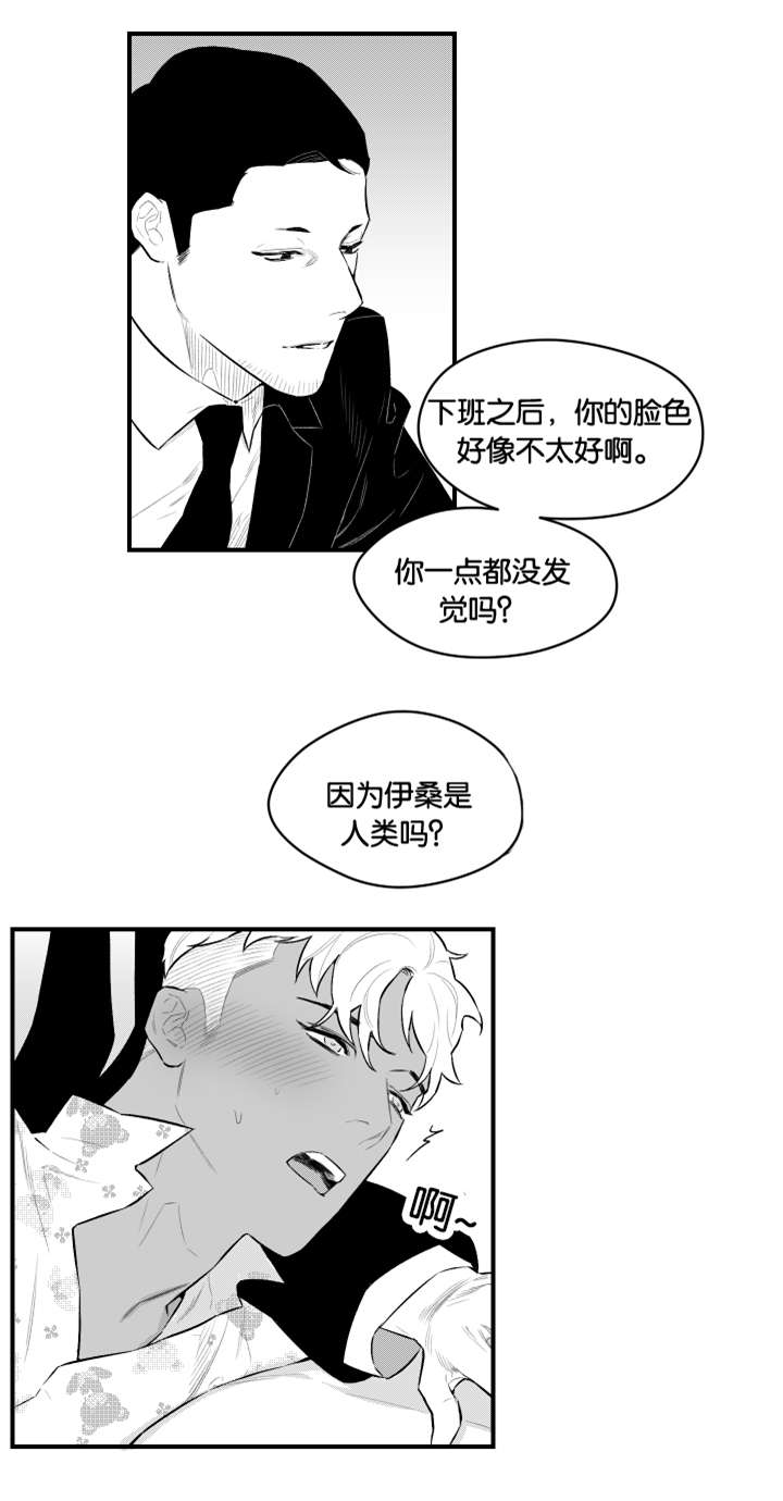 夜景精灵漫画,第18话1图