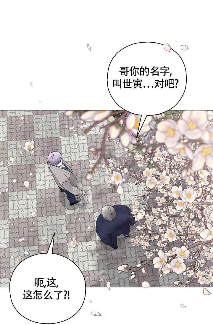 哥哥的前辈漫画,第15话1图