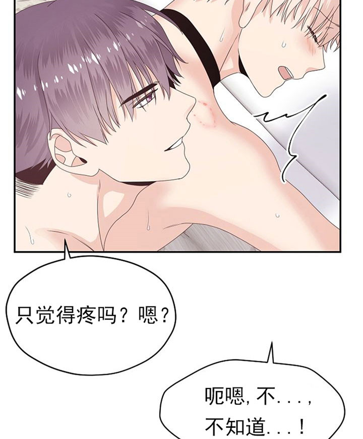 欧米伽的恋爱全集免费观看漫画,第28话1图