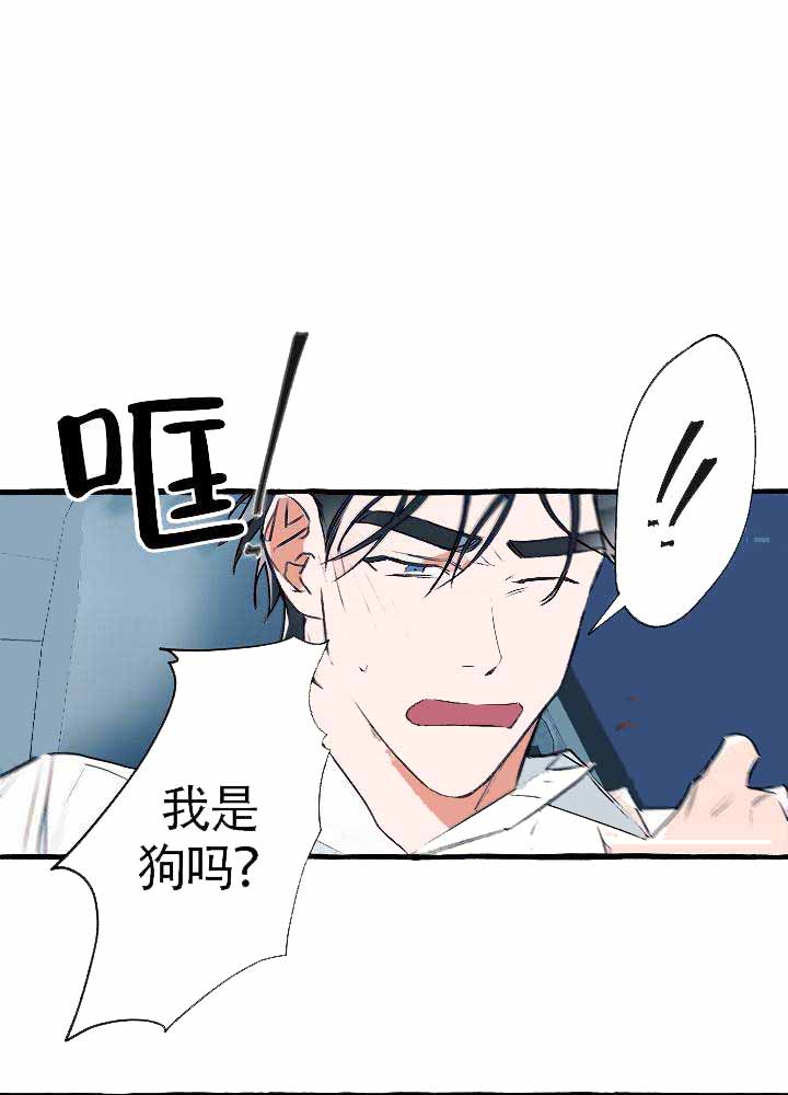 完美的妻子韩剧免费观看漫画,第19话1图