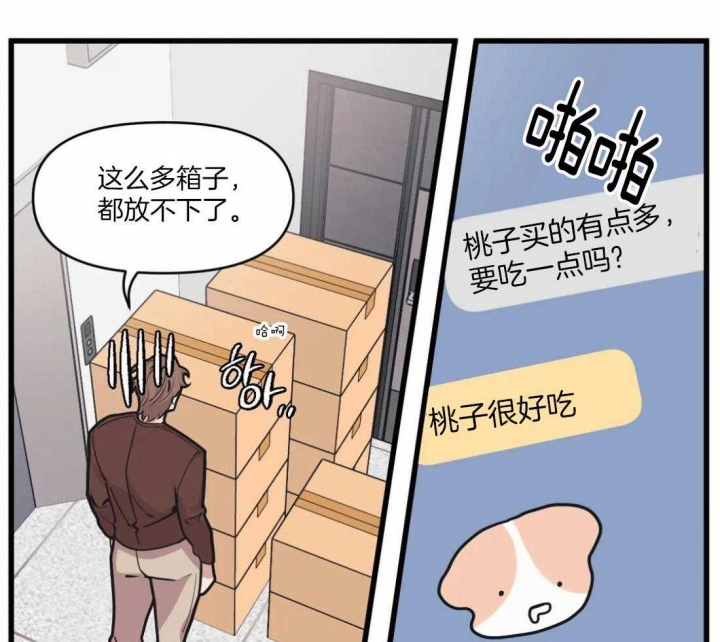 我的邻居是bj主播漫画,第29话1图