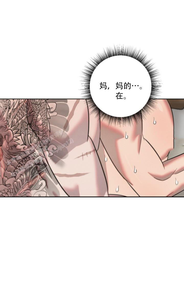 危险条约漫画在哪里看漫画,第19话2图