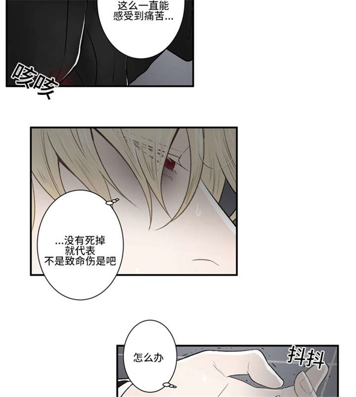 不朽之身漫画,第36话2图