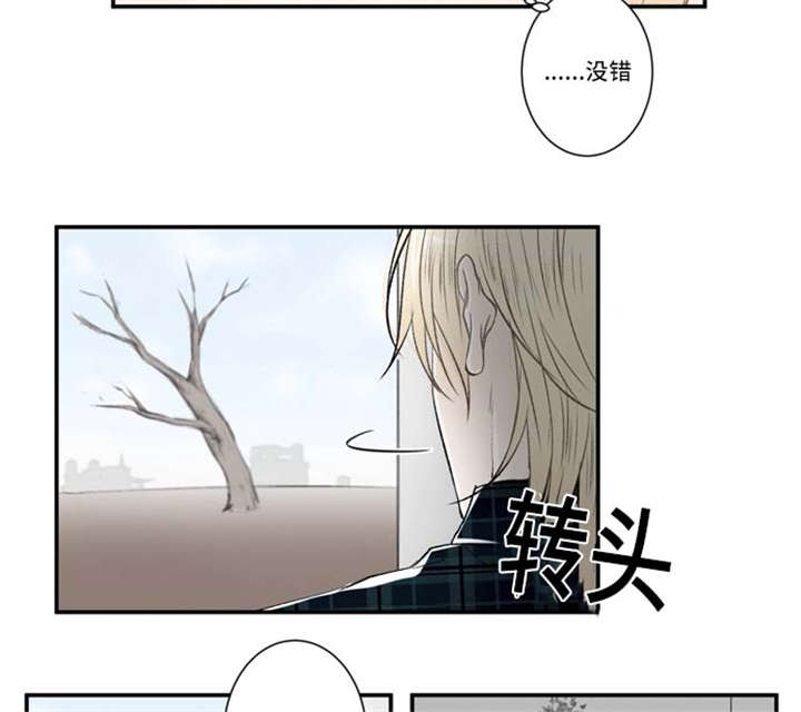 不朽之躯和能量护盾漫画,第66话2图