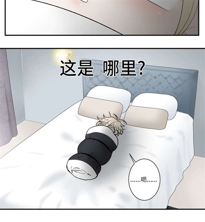 不朽之城小程序能领钱吗漫画,第43话2图