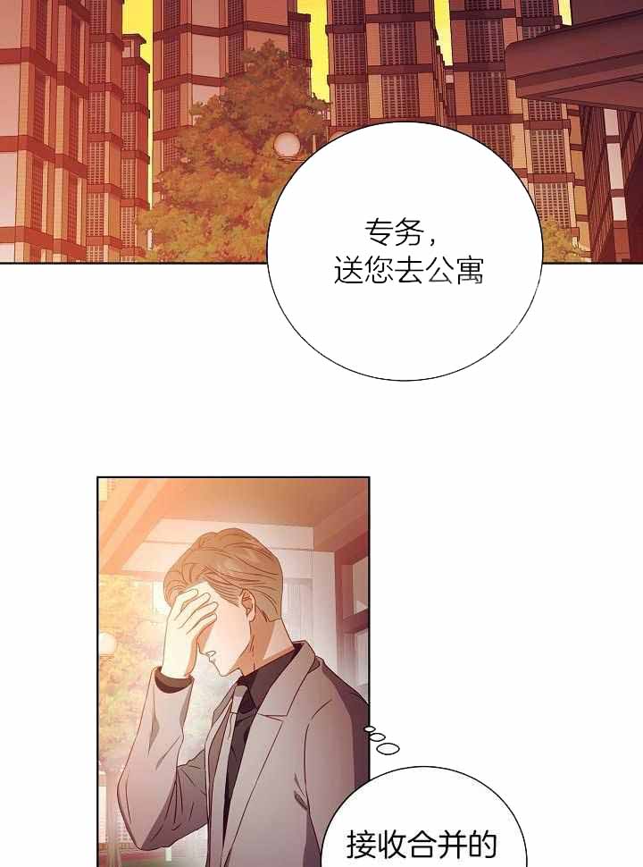 百分之99点99的恋人漫画,第33话1图