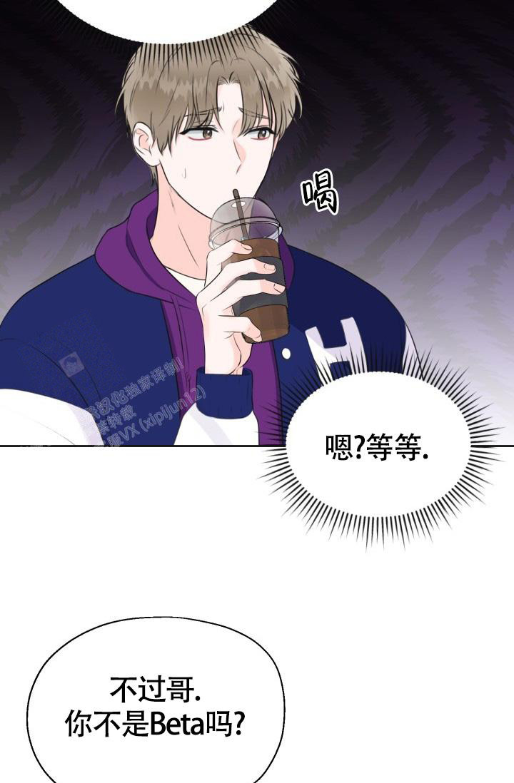信息素宝贝小说在线看漫画,第4话2图
