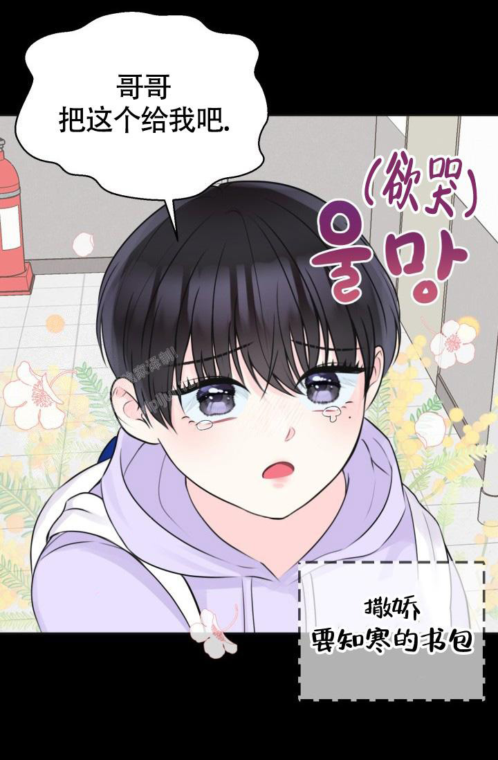 信息素宝贝小说在线看漫画,第6话1图