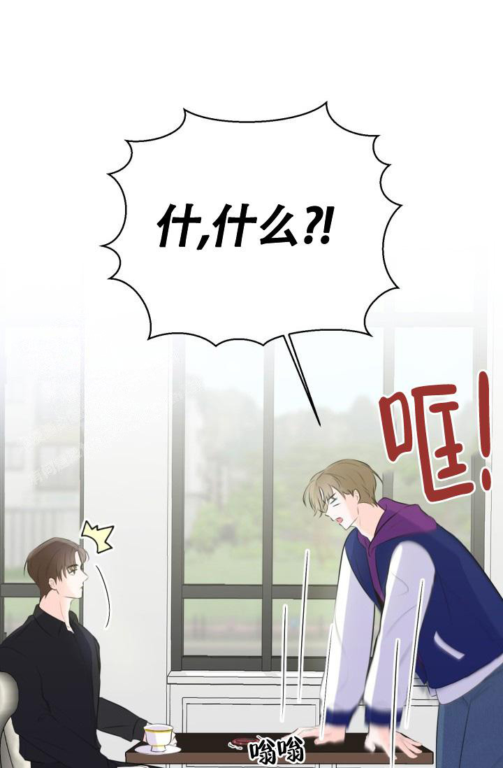 信息素宝贝小说在线看漫画,第4话2图