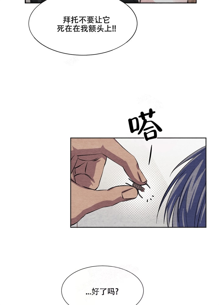  肩上的不速之客漫画,第13话1图