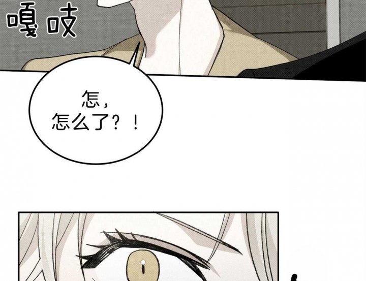 亲爱的三毛漫画,第2话2图