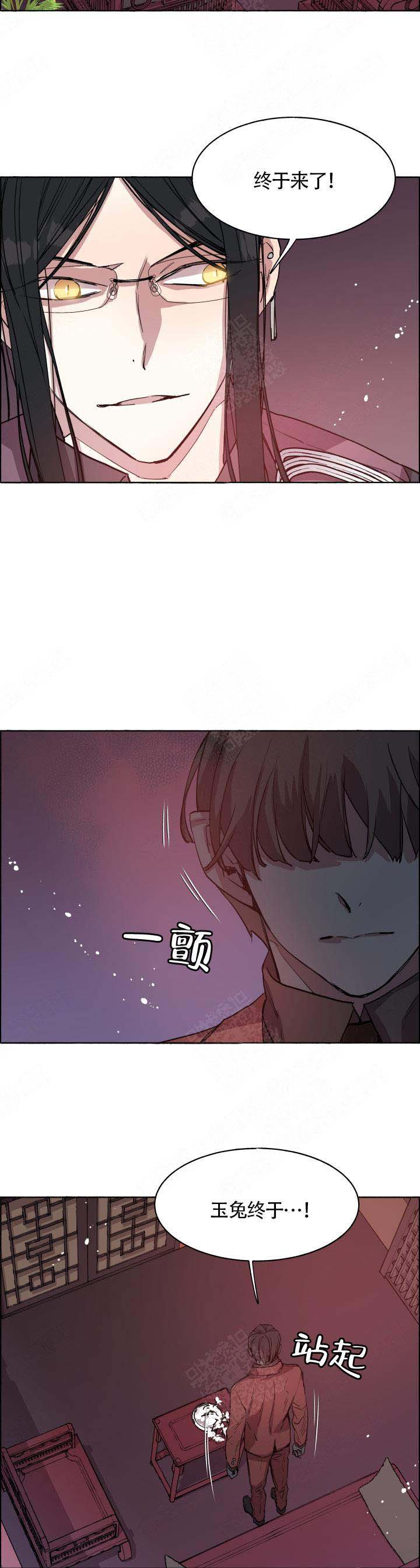 巫师与猫英语绘本怎么样漫画,第66话2图