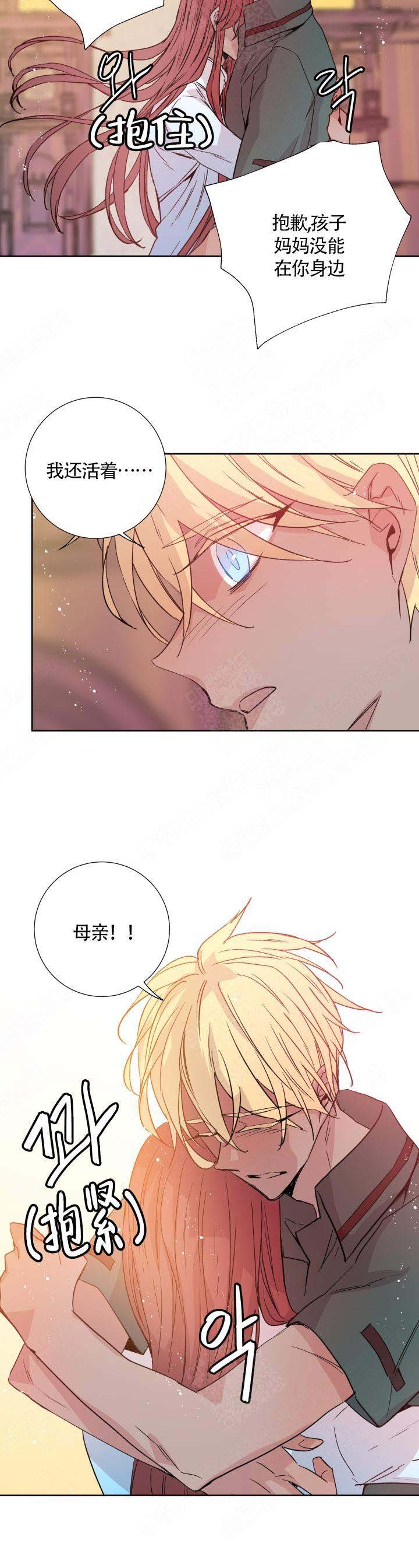 巫师与狼漫画,第114话1图