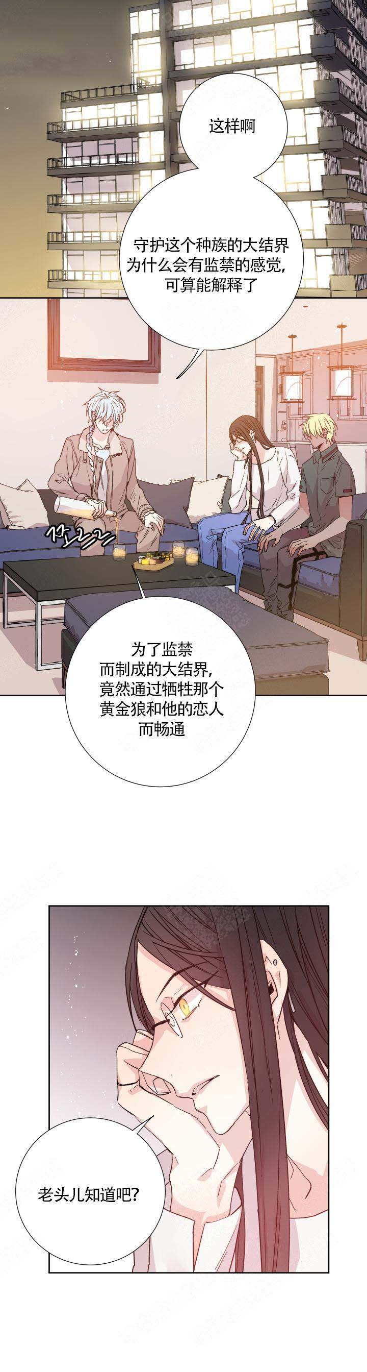 巫师与猫英语绘本怎么样漫画,第113话1图