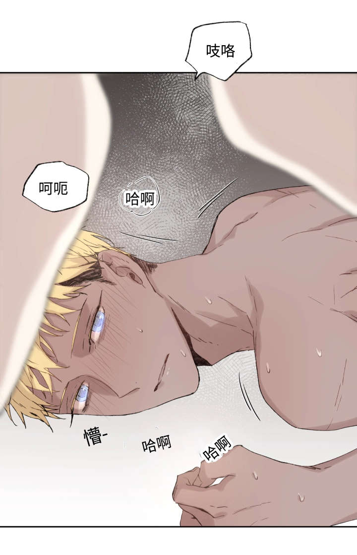 巫师与猫英语绘本怎么样漫画,第38话1图