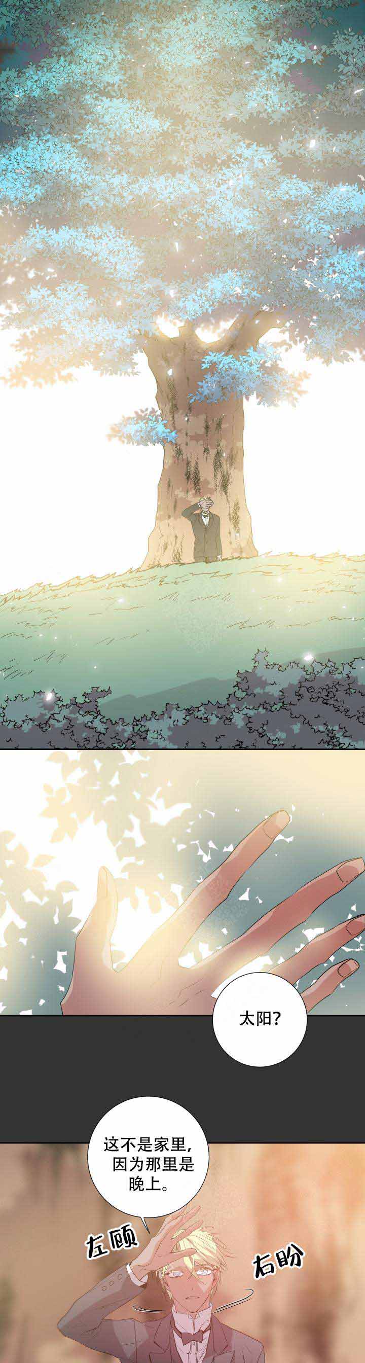 巫师与猫动画片中文漫画,第104话1图