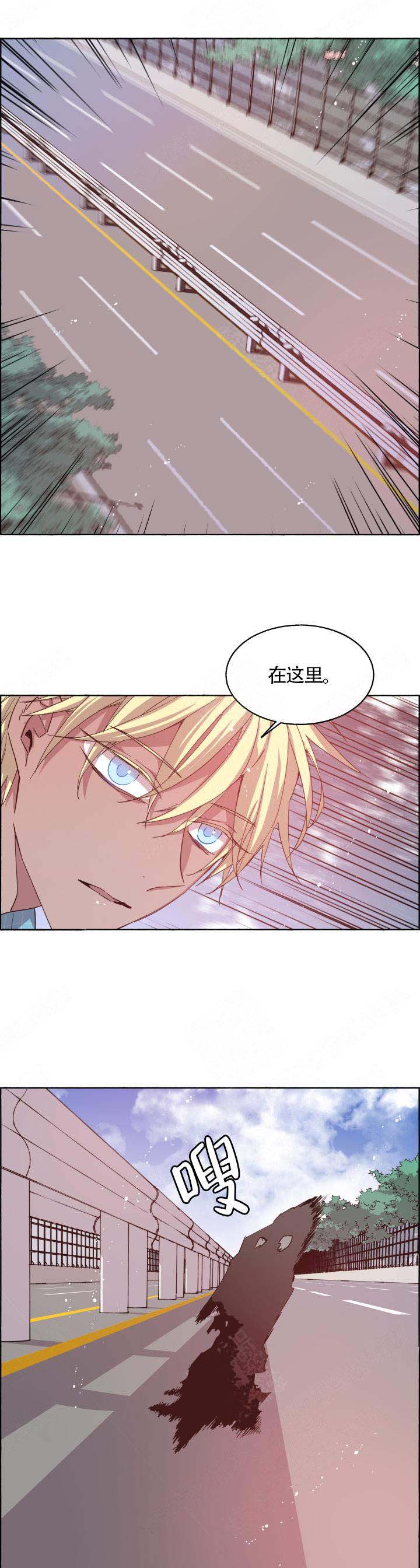 巫师与猫英语绘本怎么样漫画,第75话1图
