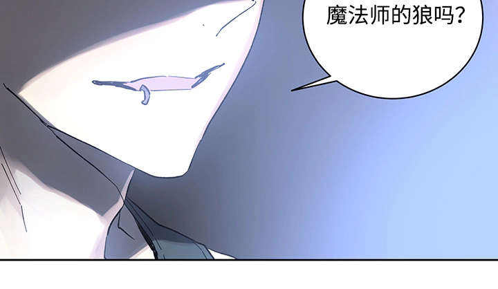 巫师与猫动画片中文漫画,第19话2图