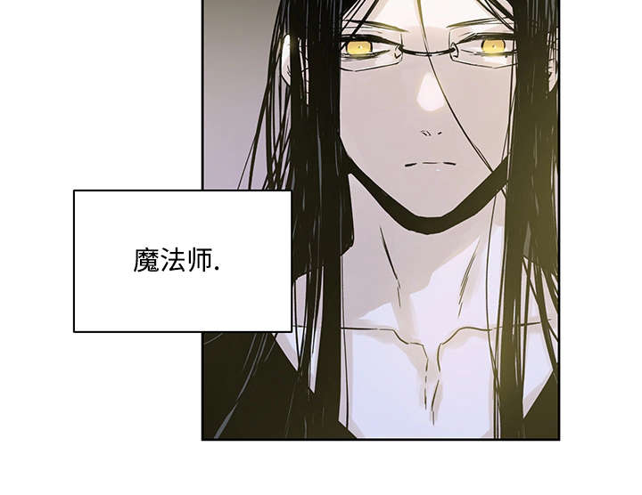 巫师与猫英语绘本怎么样漫画,第4话1图