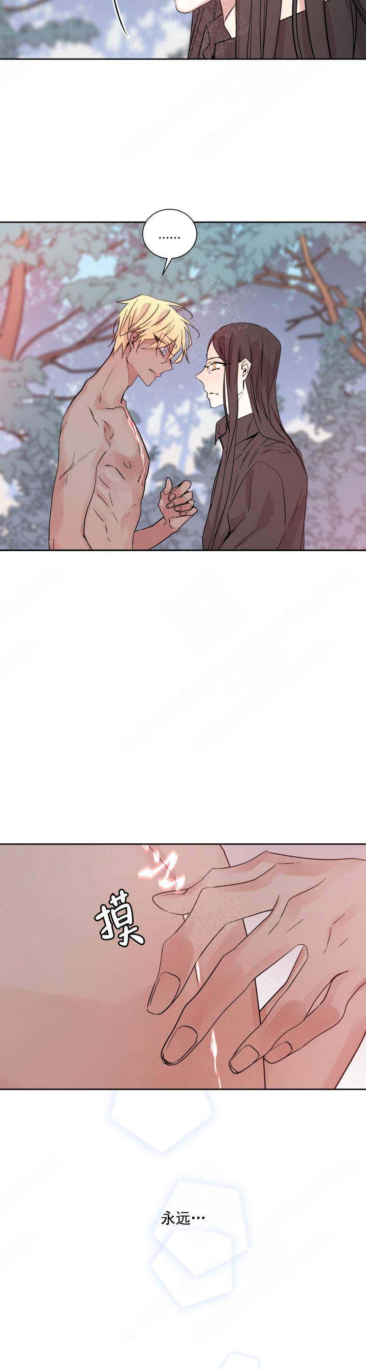 巫师与狼漫画第一章在线阅读漫画,第122话2图